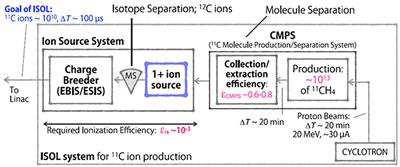 Technical Design Report for a Carbon-11 Treatment Facility